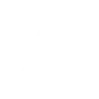 Nokian KrP